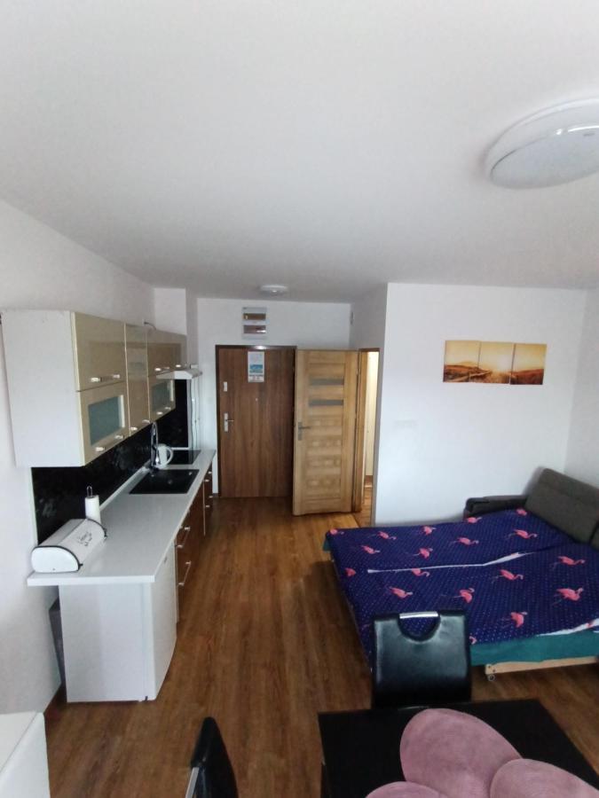 Flamingo 19 Apartment Miedzyzdroje Luaran gambar